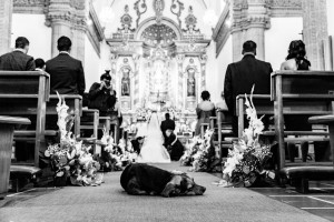 ¿Qué más tierno que el amor de dos seres acompañados por uno de los amores más puros ?